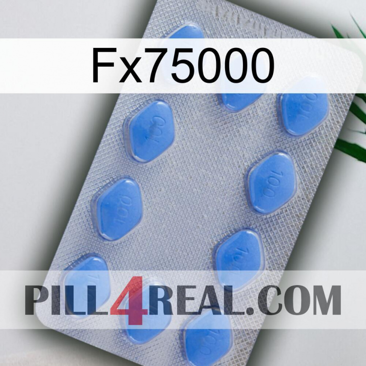 Fx75000 21